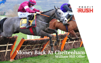 William Hill Money Back At Cheltenham Festival