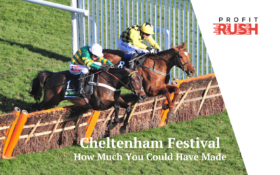 How Much Profit Could You Have Made At The Cheltenham Festival?